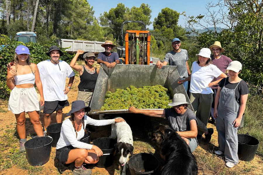 Harvest with Nùria